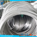 304 SS brilhantes Wire Rod